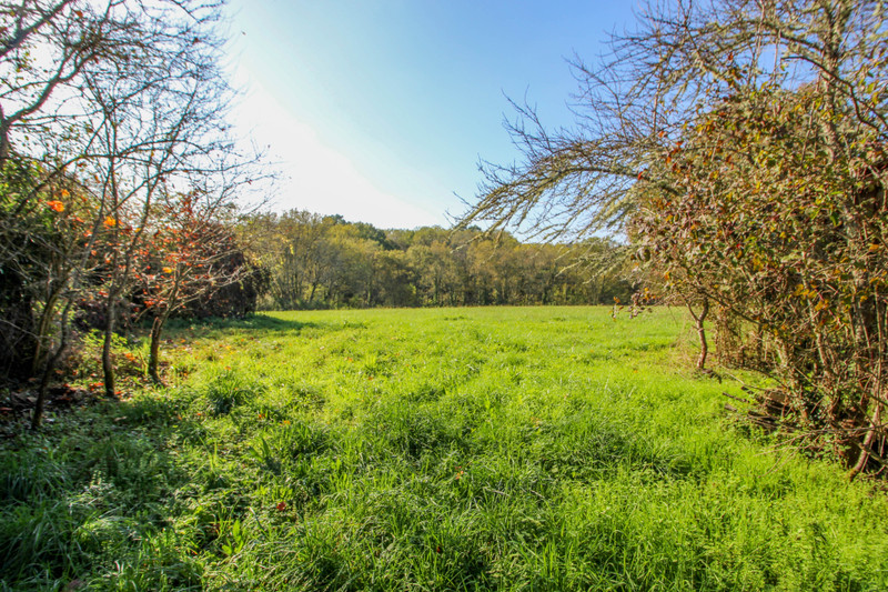 French property for sale in Saint-Félix-de-Villadeix, Dordogne - €77,000 - photo 4