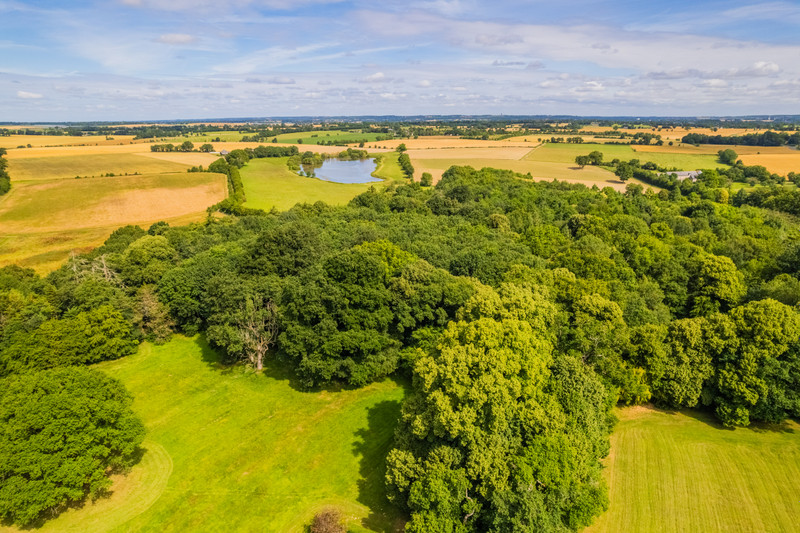 French property for sale in Chazé-sur-Argos, Maine-et-Loire - €2,880,000 - photo 9