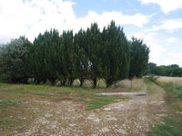 Terrain à vendre à La Rochebeaucourt-et-Argentine, Dordogne - 67 000 € - photo 10
