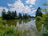 Lacs à vendre à Charchigné, Mayenne - 588 000 € - photo 9