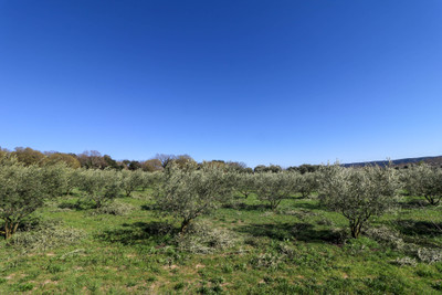 French property for sale in Uzès, Gard - €130,000 - photo 6