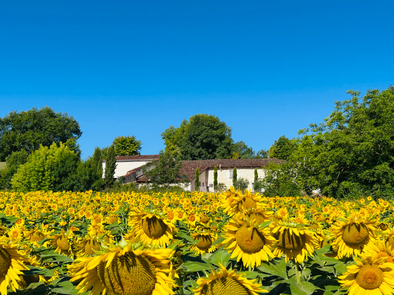 Maison à vendre à Bertric-Burée, Dordogne - 577.500 € - photo 1