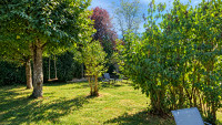 Propriété à vendre à Les Salles-Lavauguyon, Haute-Vienne - 299 600 € - photo n°14