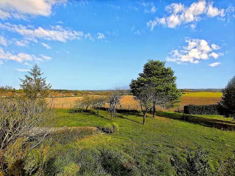French property for sale in Saint-Séverin, Charente - €189,570 - photo 1