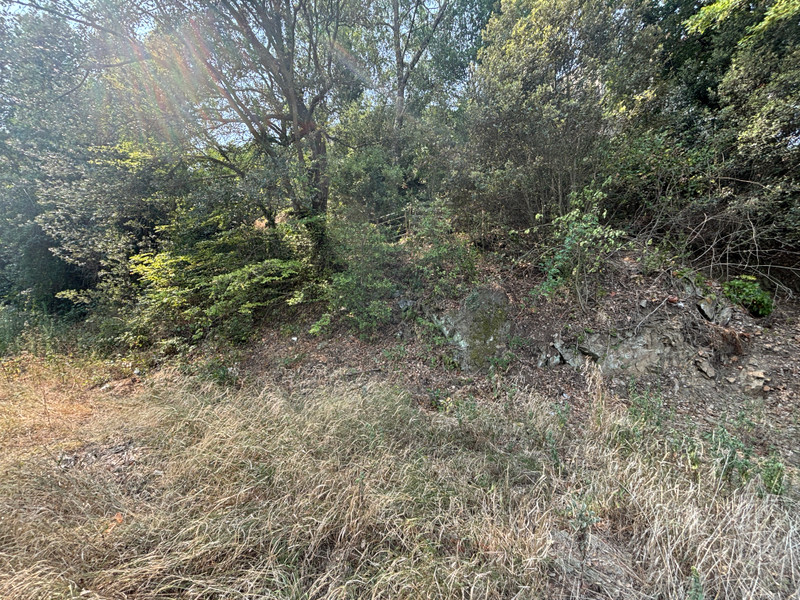 French property for sale in Joch, Pyrénées-Orientales - €89,000 - photo 8