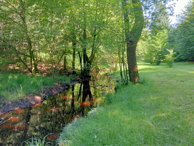 French property for sale in Marcillac-la-Croisille, Corrèze - €466,000 - photo 8