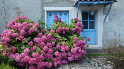 Maison à vendre à Édon, Charente, Poitou-Charentes, avec Leggett Immobilier