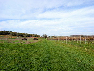 French property for sale in Arthenac, Charente-Maritime - €159,900 - photo 9