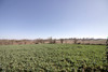 French property for sale in Airel, Manche - €189,000 - thumbnail 14