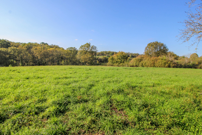 French property for sale in Saint-Félix-de-Villadeix, Dordogne - €77,000 - photo 8