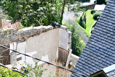 French property for sale in Treignac, Corrèze - €29,000 - photo 11
