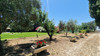 French property for sale in Argeliers, Aude - €290,000 - thumbnail 14