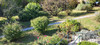 French property for sale in Charroux, Vienne - €235,400 - thumbnail 9