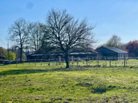 Propriété à vendre à Souméras, Charente-Maritime - 235 000 € - photo n°9