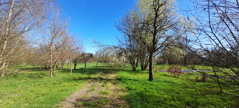 French property for sale in Bellou-en-Houlme, Orne - €550,000 - photo 8