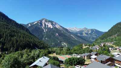 Ski property for sale in  - €1,750,000 - photo 3