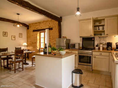 Exceptional property comprising a manor house, five gites, swimming pool and manicured gardens near Sarlat