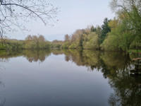 French property, houses and homes for sale in Saint-Cyr-le-Gravelais Mayenne Pays_de_la_Loire