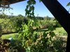 French property for sale in Lauzun, Lot-et-Garonne - €116,000 - thumbnail 9
