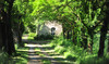 French property for sale in Beaugas, Lot-et-Garonne - €340,000 - thumbnail 9