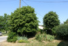 French property for sale in La Chapelle-Bâton, Vienne - €137,340 - thumbnail 14