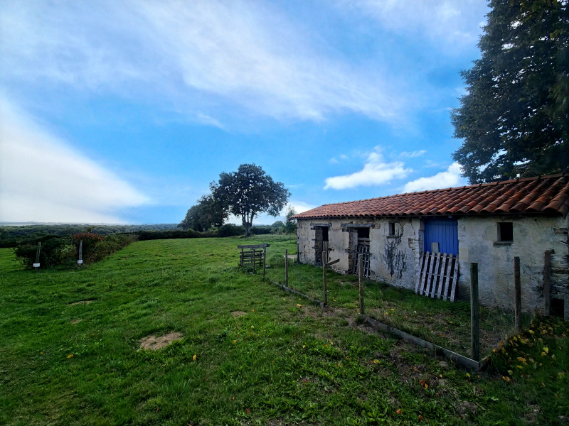 French property for sale in Pamplie, Deux-Sèvres - €380,000 - photo 9