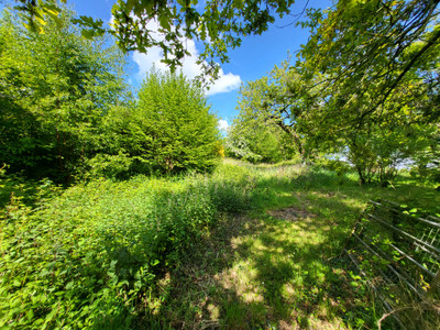 French property for sale in Mortain-Bocage, Manche - €99,000 - photo 10