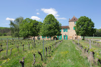 Chateau à vendre à Le Buisson-de-Cadouin, Dordogne - 4.090.000 € - photo 5