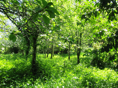 French property for sale in Pré-en-Pail-Saint-Samson, Mayenne - €166,000 - photo 9