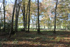 French property for sale in Beaumontois en Périgord, Dordogne - €449,400 - thumbnail 9