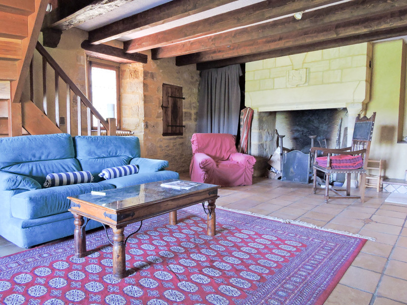 French property for sale in Plazac, Dordogne - &#8364;785,000 - photo 8