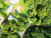 French property for sale in Caurel, Côtes-d'Armor - €175,000 - thumbnail 14