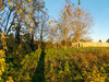 French property for sale in Villesèquelande, Aude - €279,000 - thumbnail 9