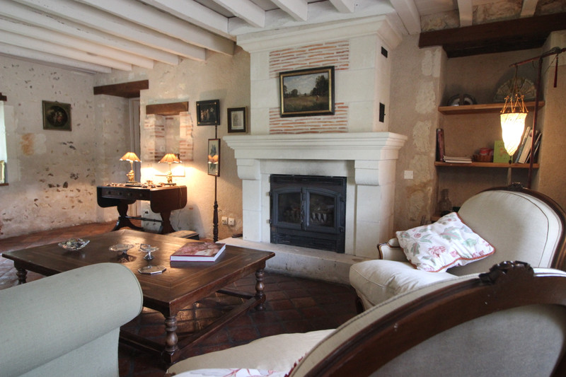 French property for sale in Vicq-sur-Nahon, Indre - €469,950 - photo 4