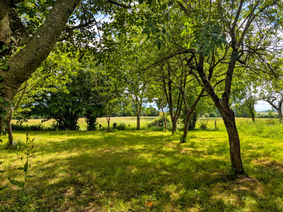 French property for sale in Perche en Nocé, Orne - €468,000 - photo 7