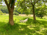Maison à vendre à Betbezer-d'Armagnac, Landes - 285.000 € - photo 14