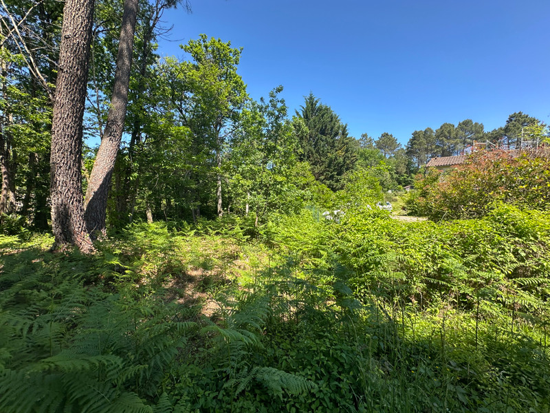 Terrain à vendre à Chancelade, Dordogne - 59.000 € - photo 1