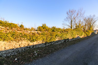Terrain à vendre à Asnières-la-Giraud, Charente-Maritime - 102 300 € - photo 8