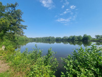 Lacs à vendre à Juvigné, Mayenne - 768.500 € - photo 3