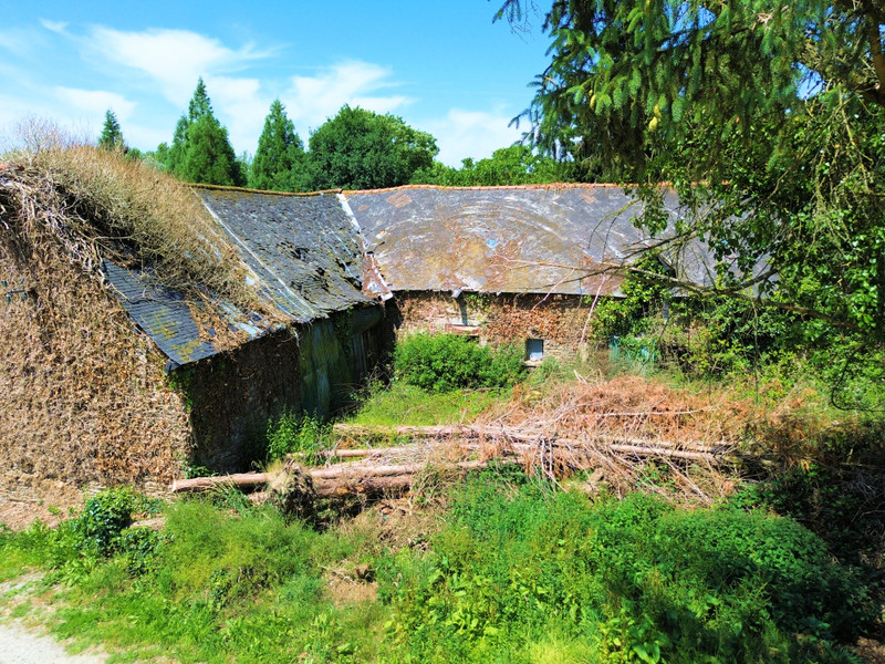 French property for sale in Trévé, Côtes-d'Armor - €25,000 - photo 2
