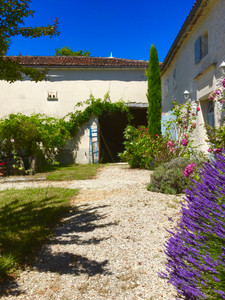 Beautifully renovated country house and grounds. 5 bedrooms, 4 bathrooms, 14m swimming pool. Near Cognac. 