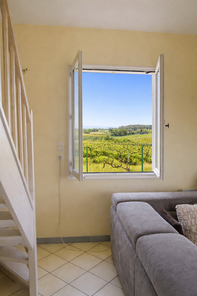 French property for sale in Châteauneuf-sur-Charente, Charente - €162,000 - photo 5