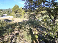 Terrain à vendre à Flassans-sur-Issole, Var - 120.000 € - photo 6