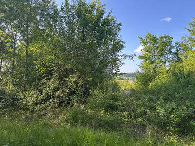 French property for sale in Bertric-Burée, Dordogne - €16,600 - photo 3