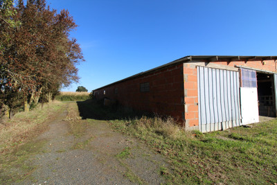 French property for sale in Genneton, Deux-Sèvres - €25,000 - photo 5