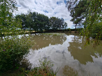 Maison à vendre à Saint-Martin-Lars-en-Sainte-Hermine, Vendée - 367.000 € - photo 2