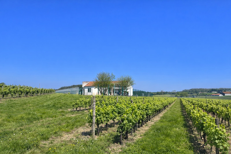 French property for sale in Châteauneuf-sur-Charente, Charente - €162,000 - photo 0