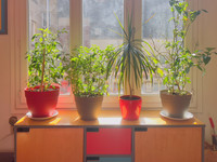 Appartement à Clichy, Hauts-de-Seine - photo 9