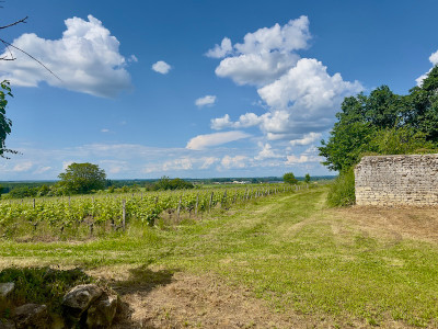 French property for sale in Berrie, Vienne - €153,000 - photo 10