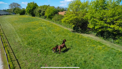 French property for sale in Ruffec, Charente - €1,250,000 - photo 3